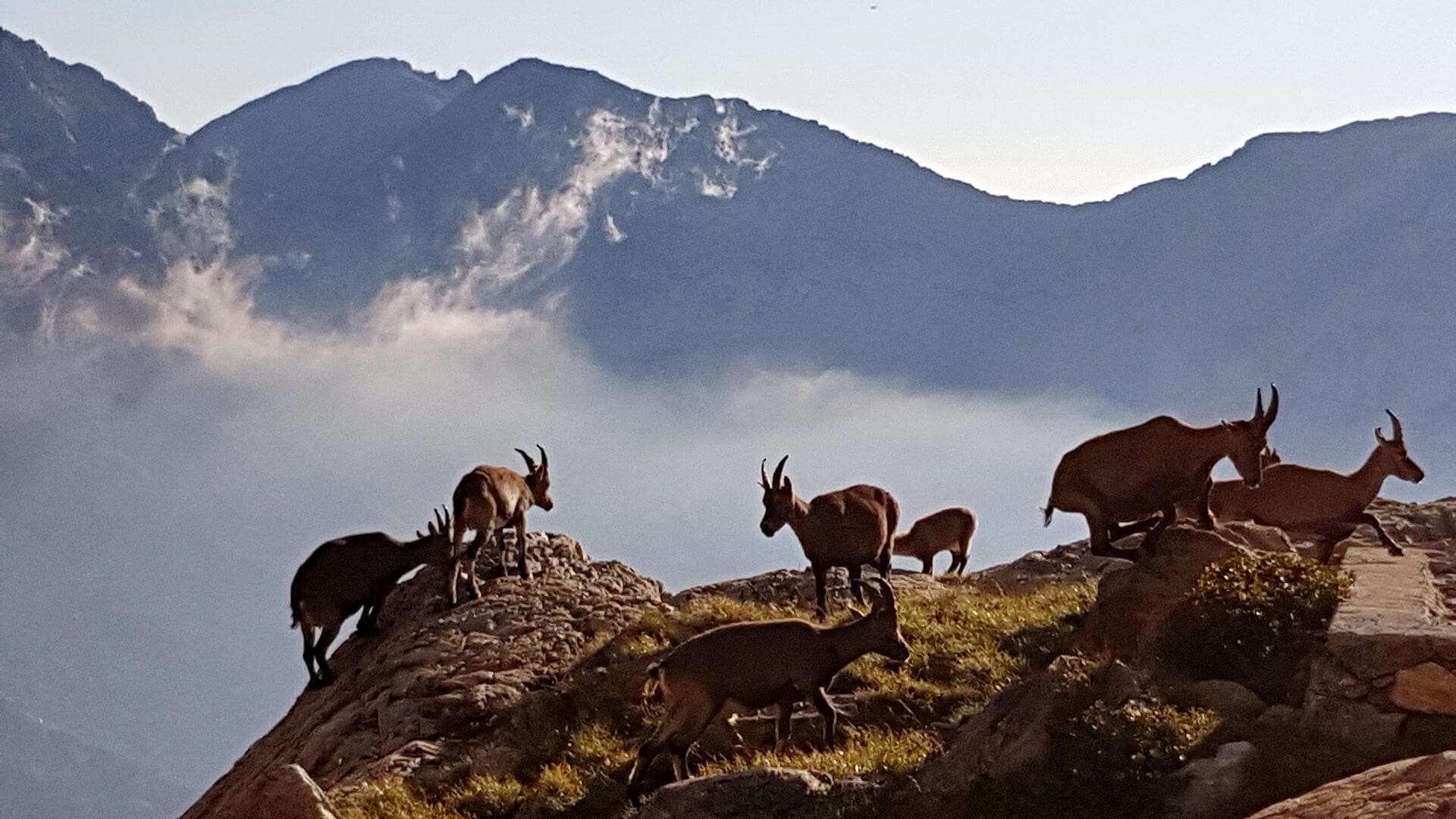 Au coeur du Mercantour en liberté