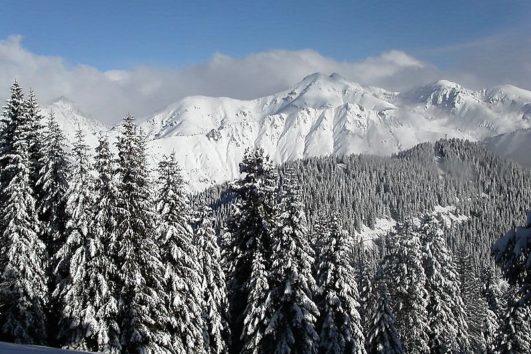 Découverte de la raquette Turini