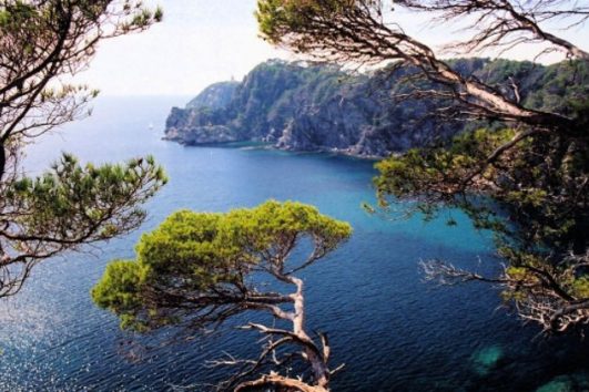 Iles et Caps sur la Côte d'Azur