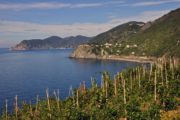 Cinque Terre