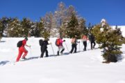 raquette à neige