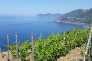 Cinque terre