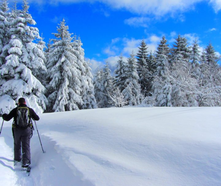 raquette à neige