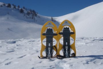 raquette à neige