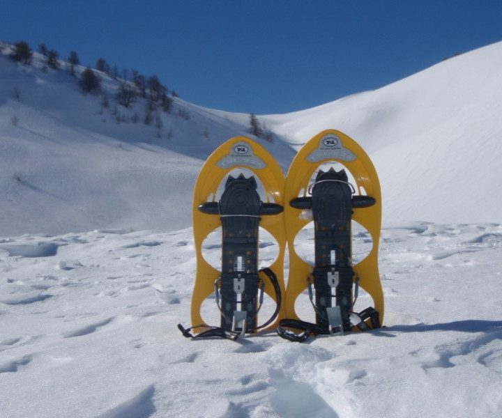 raquette à neige