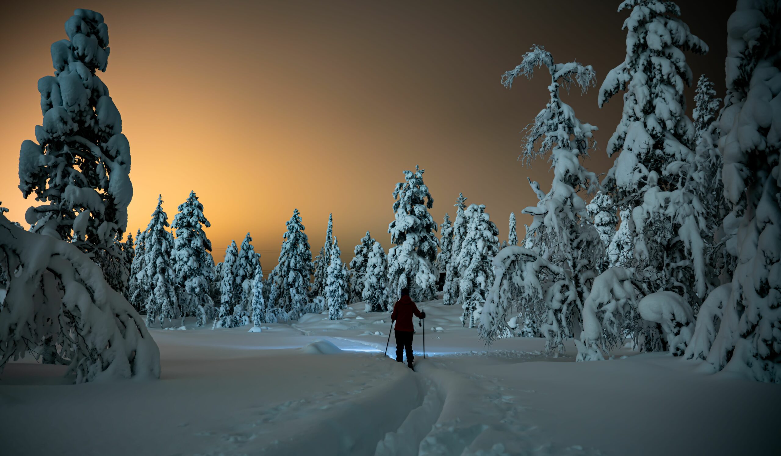 Raquette à neige nocturne au Turini - Orgaya