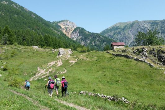 Faune du Mercantour