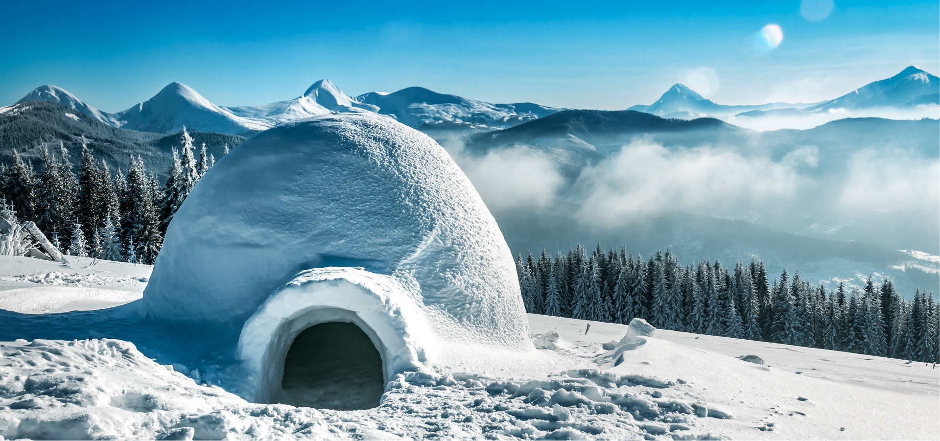 Construction d’Igloo – Nature et Entreprise