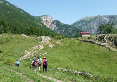 Faune du Mercantour