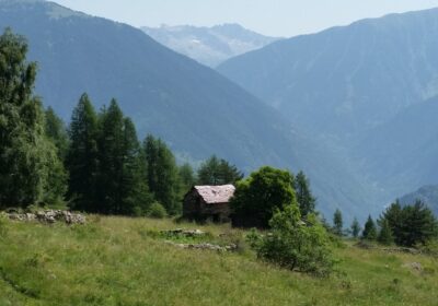 Journée Pique-nique en Alpage