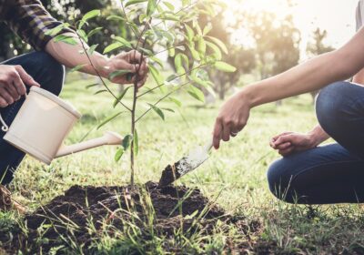 Natur&rsquo;Attitude – Nature et Entreprise