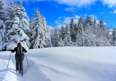 Découverte Raquettes à Neige
