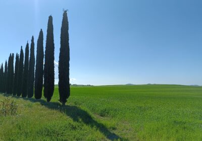 Toscane, Lagune & Bains chauds