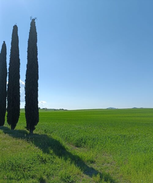 Toscane, Lagune & Bains chauds