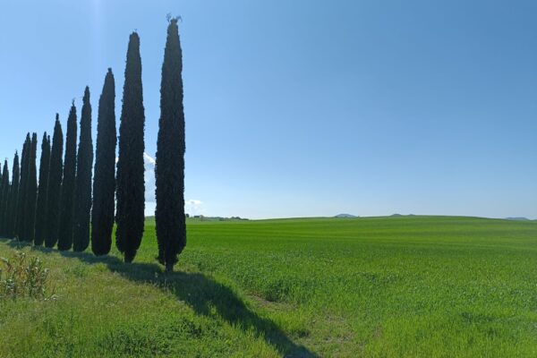 Toscane, Lagune & Bains chauds