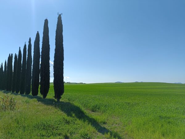 Toscane, Lagune & Bains chauds