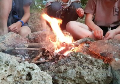 Journée « into the wild »