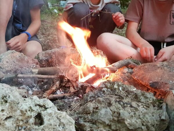 Journée « into the wild »